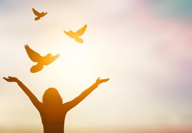  gün batımı ışık altında güzel mutlu kadın