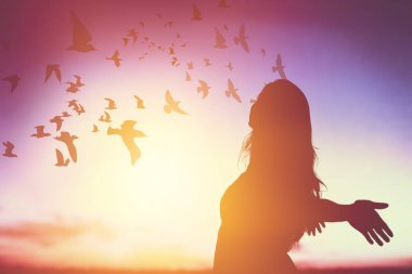  gün batımı ışık altında güzel mutlu kadın