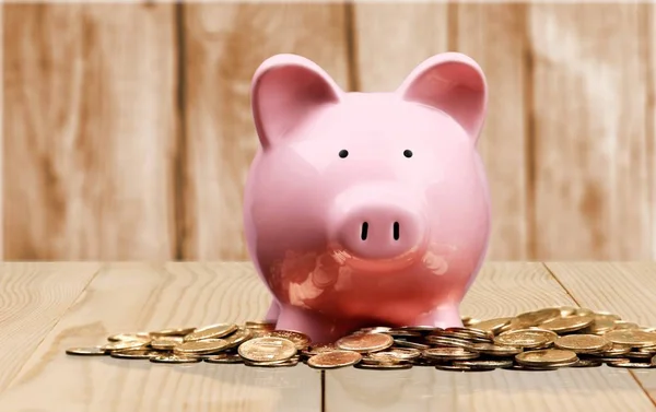 Golden Piggy Bank Investment Saving Concept — Stock Photo, Image