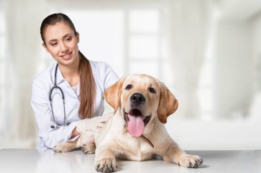  köpek hasta ile kadın doktor