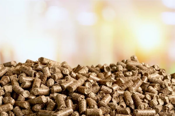 Granulés Biomass- fermer — Photo