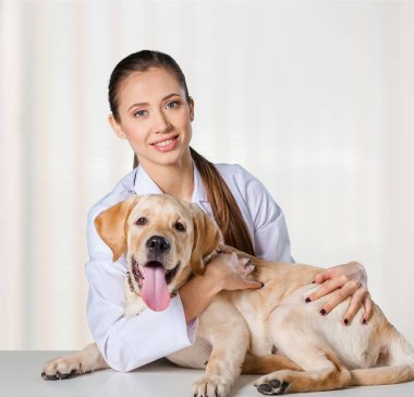 Veteriner kız sarılma köpek 