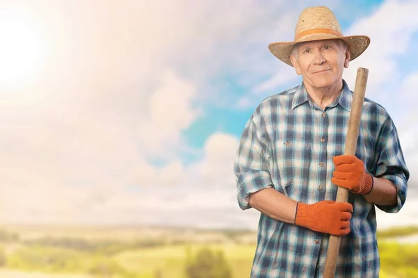 Senior Farmer Man Looking Camera — Stock Photo, Image