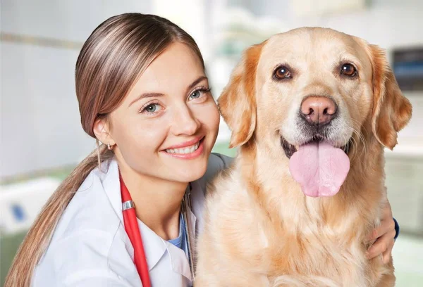 Hembra Joven Veterinario Con Perro Sobre Fondo Claro — Foto de Stock