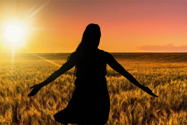 Silhouette Beautiful Girl Sunset — Stock Photo, Image