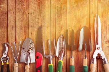 ahşap arka plan üzerinde Bahçe aletleri satırı