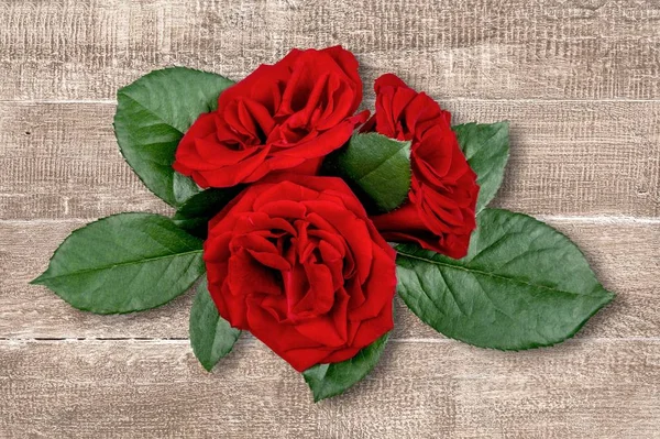 Roses Rouges Sur Fond Bois — Photo
