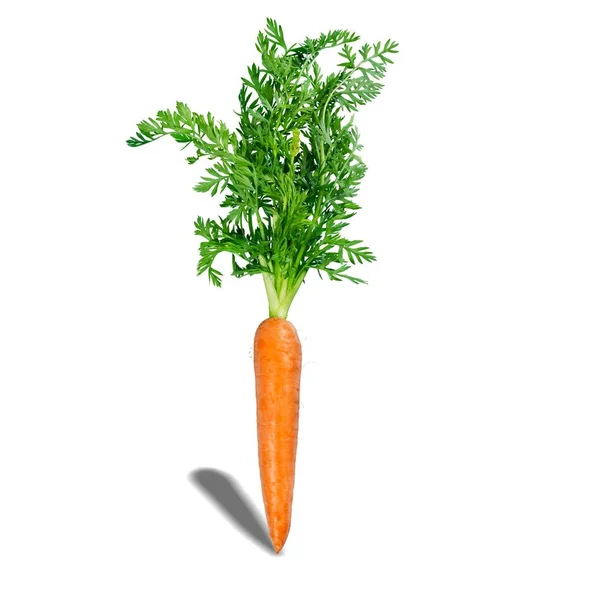 Fresh Carrot Isolated White Background — Stock Photo, Image