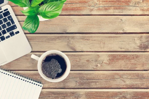 coffee cup, laptop, green plant and notebook on wooden table