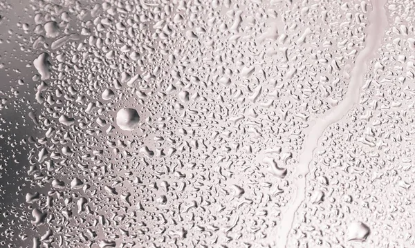 Water Drops Grey Background — Stock Photo, Image