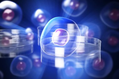 Laboratuvarda bokeh arkaplanlı mataralar