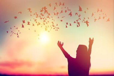  Günbatımında kadın ve kuşların silueti