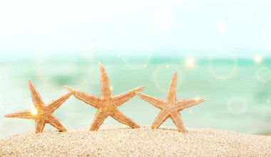  Deniz yıldızları plaj kum üzerinde