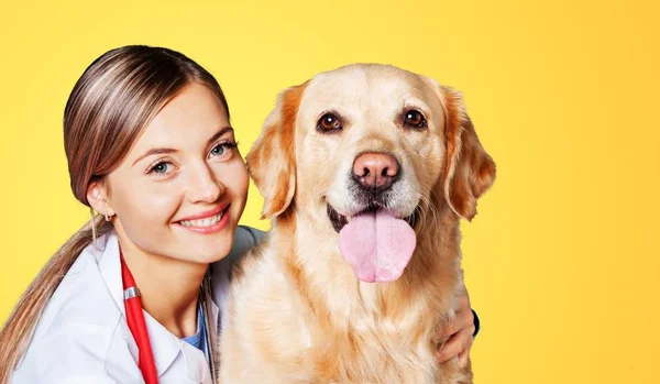 Junge Tierärztin Und Hund Klinik — Stockfoto
