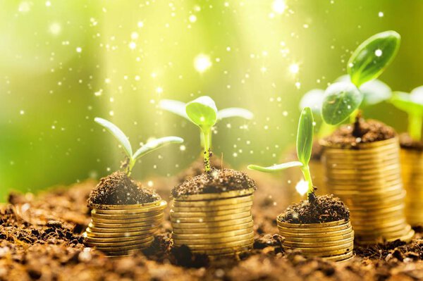 Coins in soil with young plants on blurred background