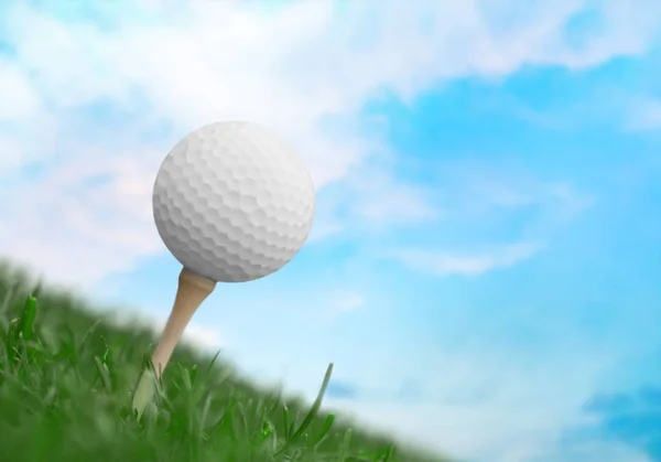 Yeşil Çimenlerin Üzerinde Tee Golf Topu — Stok fotoğraf