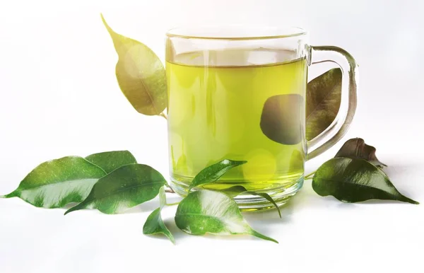 Зеленый Чай Листьями Фоне Закрыть — стоковое фото