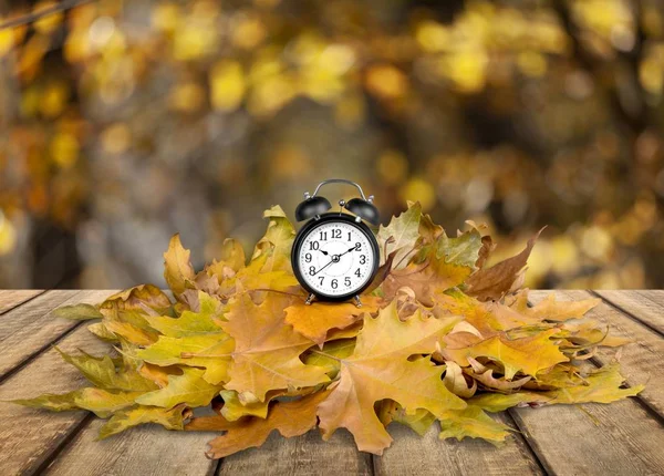 Retro Wecker Auf Gelben Herbstblättern — Stockfoto