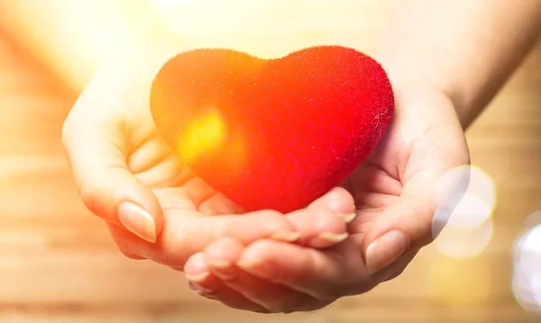 Ženské Ruce Držící Červené Srdce Charitativní Koncepce — Stock fotografie