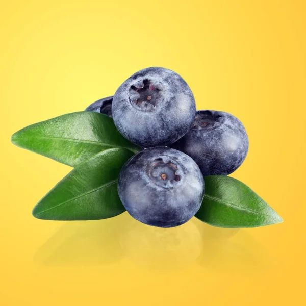 Fresh Organic Blueberries Background — Stock Photo, Image