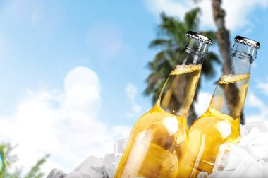 Bira şişeleri ile arka plan bulanık buza