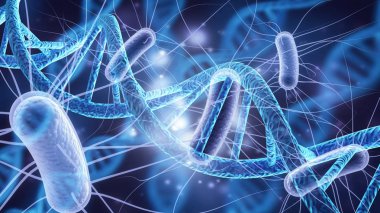 Hücre insan hücre Hayvansal hücre bilim dna biyoloji kök hücre