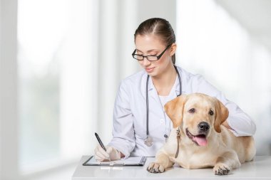 Klinikte köpeği olan genç bir veteriner.