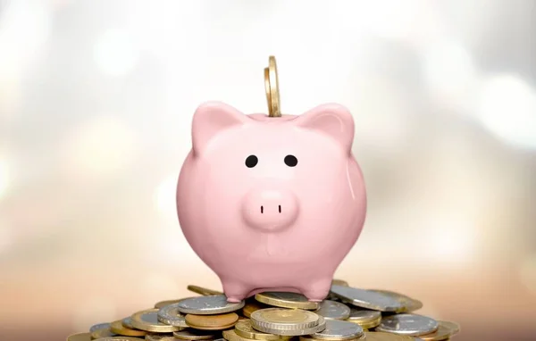 Pig Piggy Bank Coins Blurred Background — Stock Photo, Image