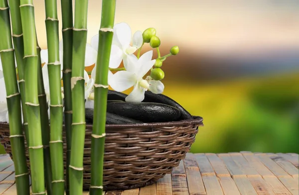 bamboo plant, flowers and zen stones