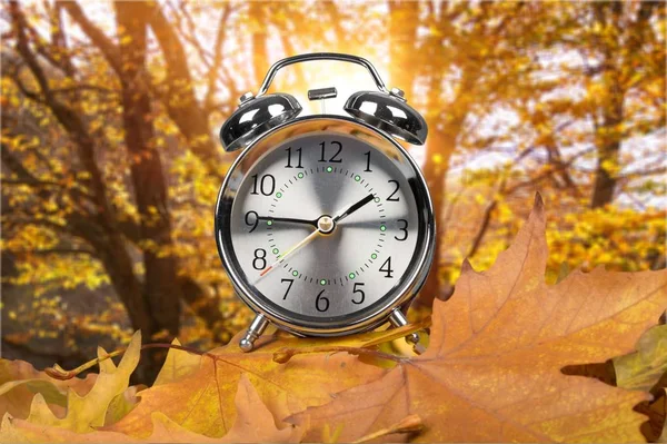 Retro Wecker Auf Gelben Herbstblättern — Stockfoto
