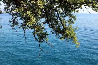 Padualı Aziz Anthony, Azizler Kilisesi 'nde heykel, Zagreb, Hırvatistan ve Avrupa yakınlarındaki Sesvete