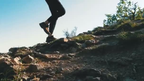 Vista sui piedi del viaggiatore Donna Escursioni a piedi sulla cima della scogliera in montagna. Camminare sulle rocce — Video Stock