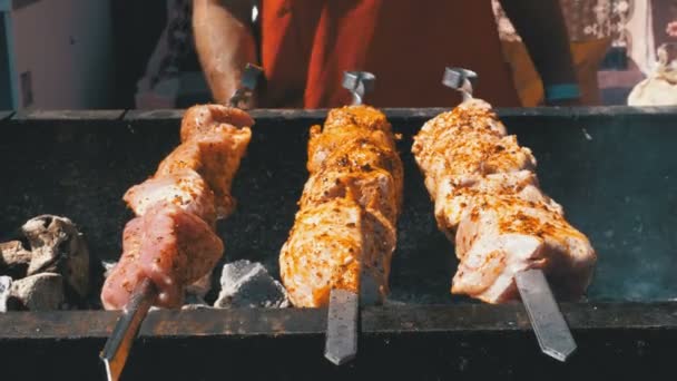 Shish kebab cocinado en la parrilla en la naturaleza. Comida callejera. Carne a la parrilla en pinchos — Vídeos de Stock