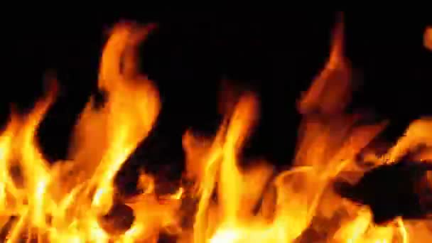 Ognisko w nocy. Płonących polan w pomarańczowe płomienie — Wideo stockowe