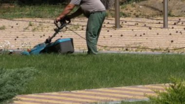 Bahçıvanlar çalışma çim bir elektrikli çim biçme makinesi ile Mows