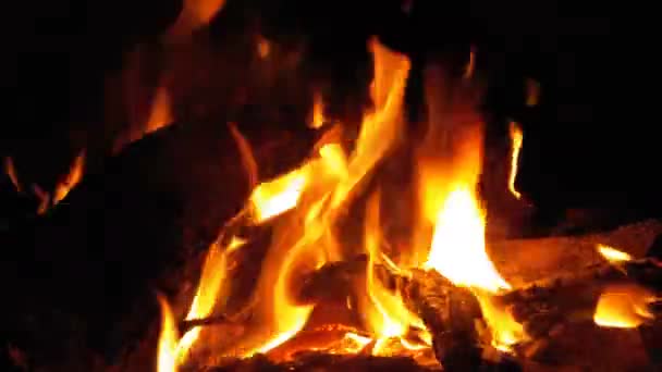 Feu de camp dans la nuit. Grumes brûlantes dans les flammes orange — Video