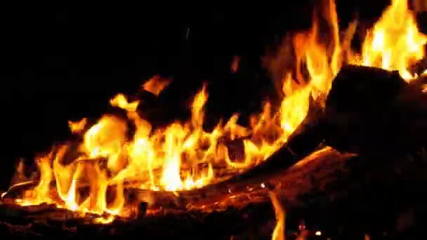 Lagerfeuer in der Nacht. Brennholzstämme in orangen Flammen