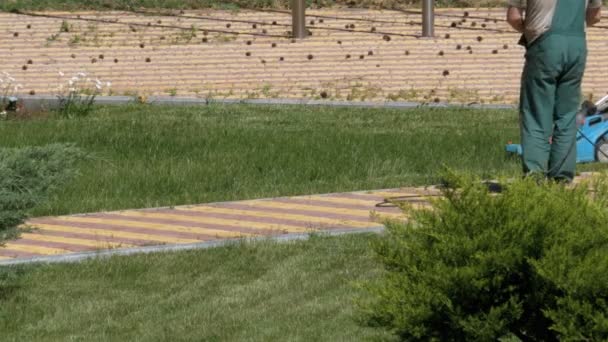 Jardiniers de travail tondre l'herbe avec une tondeuse à gazon électrique — Video