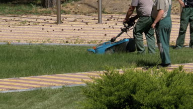 Bahçıvanlar çalışma çim bir elektrikli çim biçme makinesi ile Mows