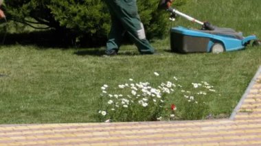 Taşınabilir bir elektrik Lawnmower adamla parkta çim yeşil çimlere Mows