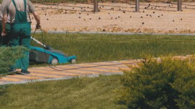 Bahçıvanlar çalışma çim bir elektrikli çim biçme makinesi ile Mows