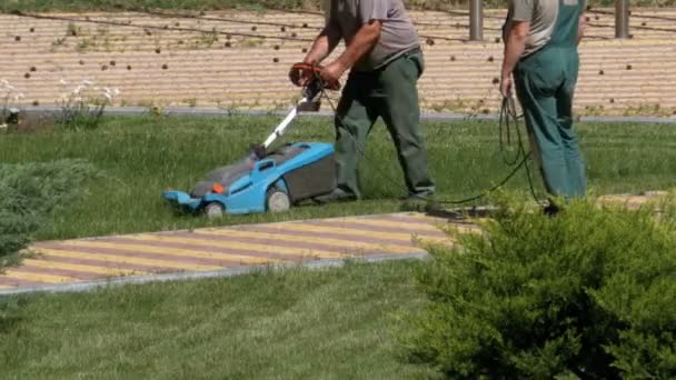 Εργάζονται κηπουροί κουρεύει το γρασίδι με έναν ηλεκτρικό θεριστή χορτοταπήτων — Αρχείο Βίντεο