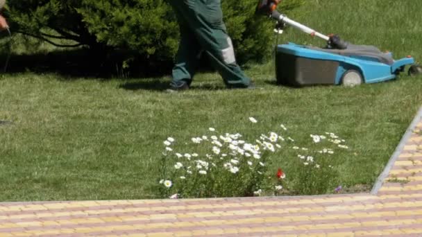 Homem com um cortador de grama elétrico portátil corta a grama verde no gramado no parque — Vídeo de Stock