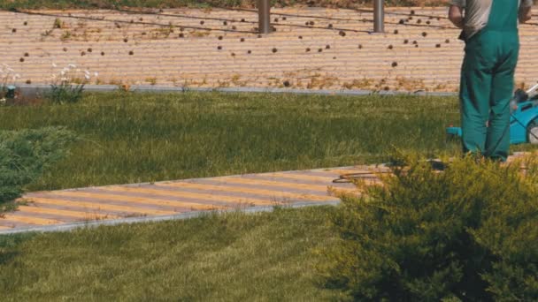 Jardineros de trabajo corta la hierba con una cortadora de césped eléctrica — Vídeos de Stock