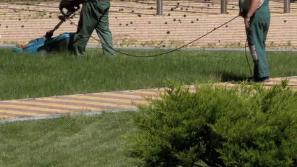 Jardineiros de trabalho corta a grama com um cortador de grama elétrico — Vídeo de Stock