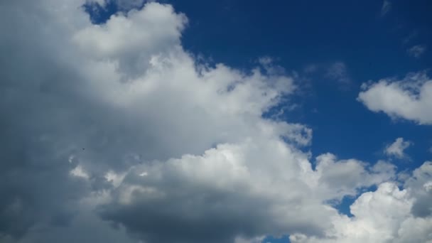 Wolken ziehen am blauen Himmel auf. Zeitraffer — Stockvideo