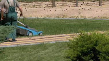 Bahçıvanlar çalışma çim bir elektrikli çim biçme makinesi ile Mows