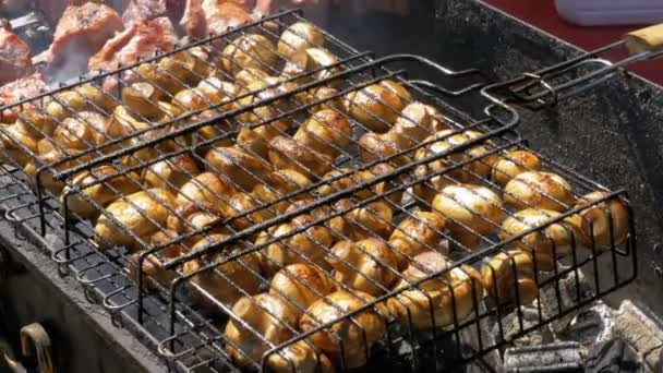 Shish kebab i grzyby są gotowane na grill w przyrodzie — Wideo stockowe