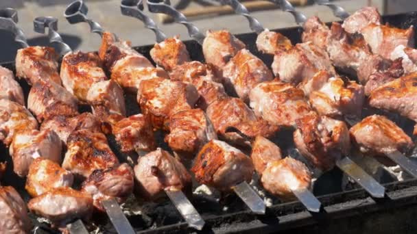 Kebab Shish e cogumelos são cozidos na grelha na natureza — Vídeo de Stock