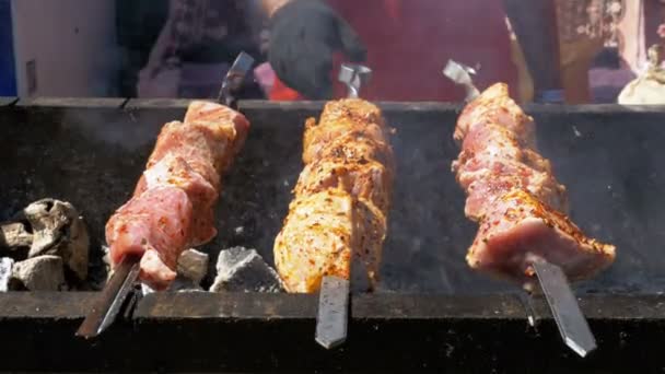 Shish kebab cocinado en la parrilla en la naturaleza. Comida callejera. Carne a la parrilla en pinchos — Vídeos de Stock